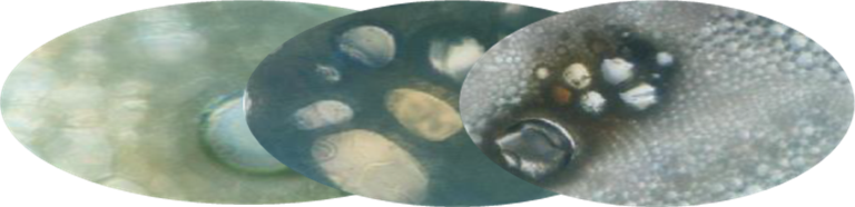 Technology Platforms