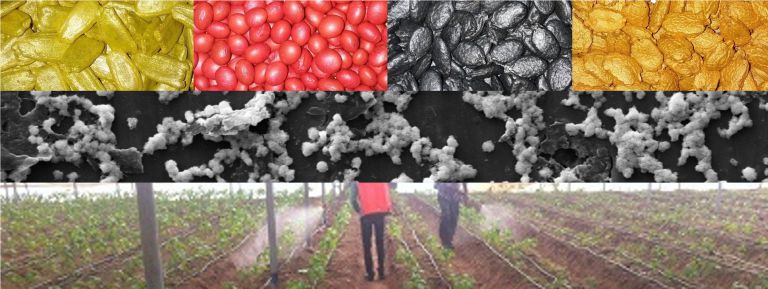 Process Technologies and Seed Coating Systems